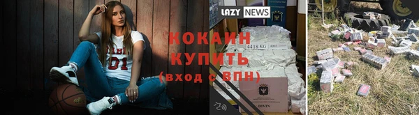 гидропоника Няндома