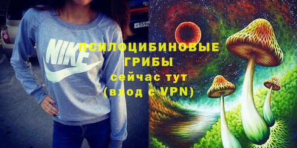 гидропоника Няндома