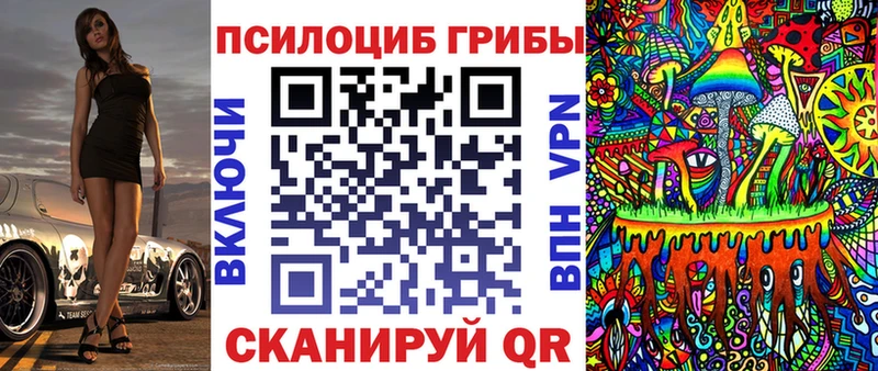 купить  цена  Кизляр  Псилоцибиновые грибы Magic Shrooms 