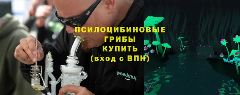 Галлюциногенные грибы Psilocybe  Кизляр 