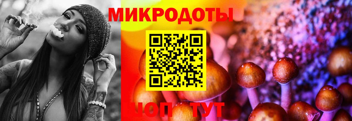 где купить наркотик  Псилоцибиновые грибы ЛСД  Псилоцибиновые грибы ЛСД  Вход с VPN  Кизляр 