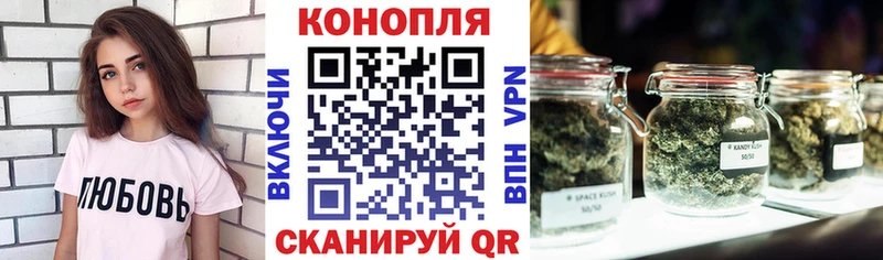 Конопля сатива  Кизляр 
